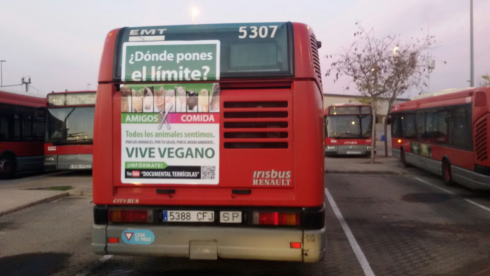 Publicidad Autobuses – Vive Vegano
